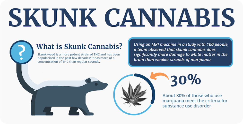 skunk cannabis