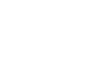 newbrain