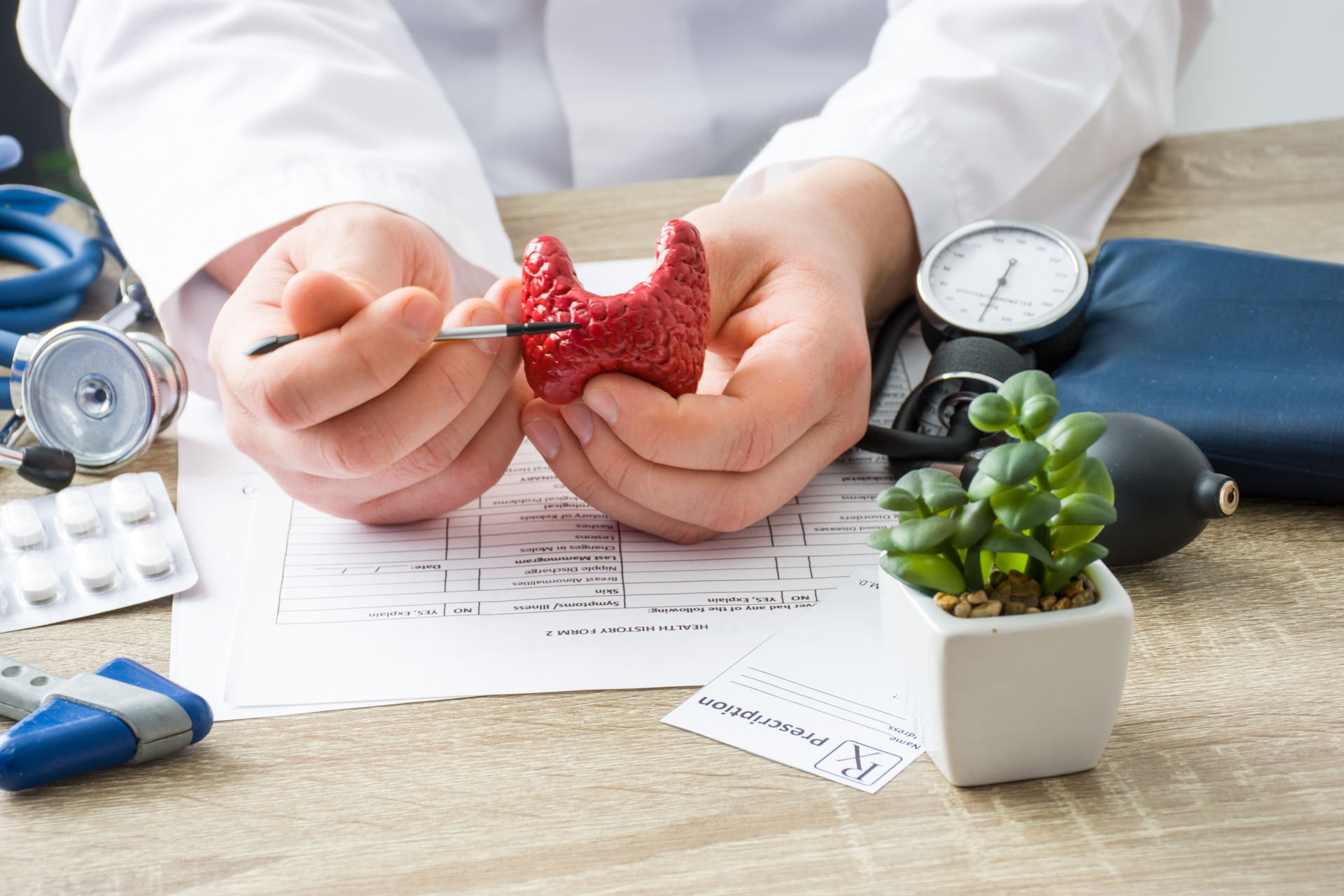a medical professional explaining hypothyroidism with a plastic model