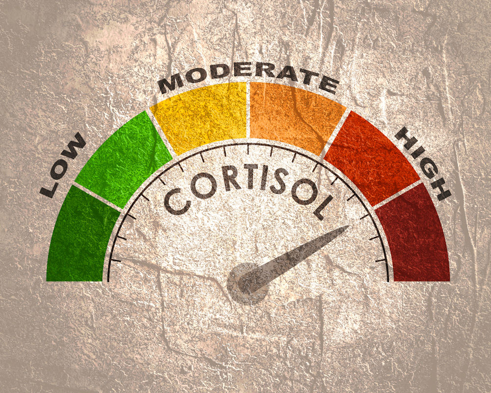 alcohol and cortisol