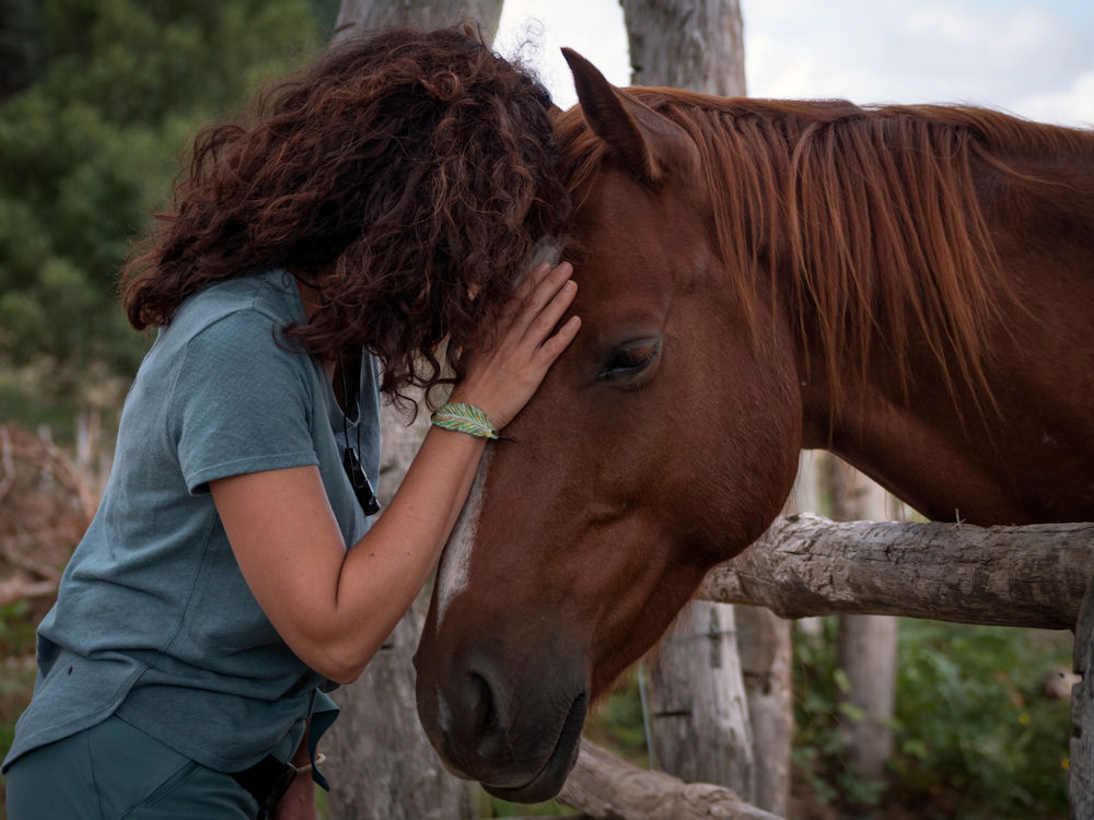 equine therapy for addiction