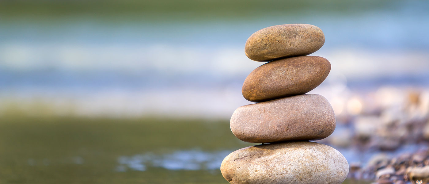 Drop The Rock: AA Literature & Recovery Books