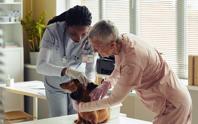 discovery-institute 1